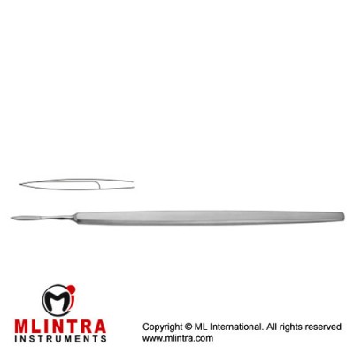 Toennis Brain Knife Stainless Steel, 18 cm - 7" Toennis Brain Knife Stainless Steel, 18 cm - 7"